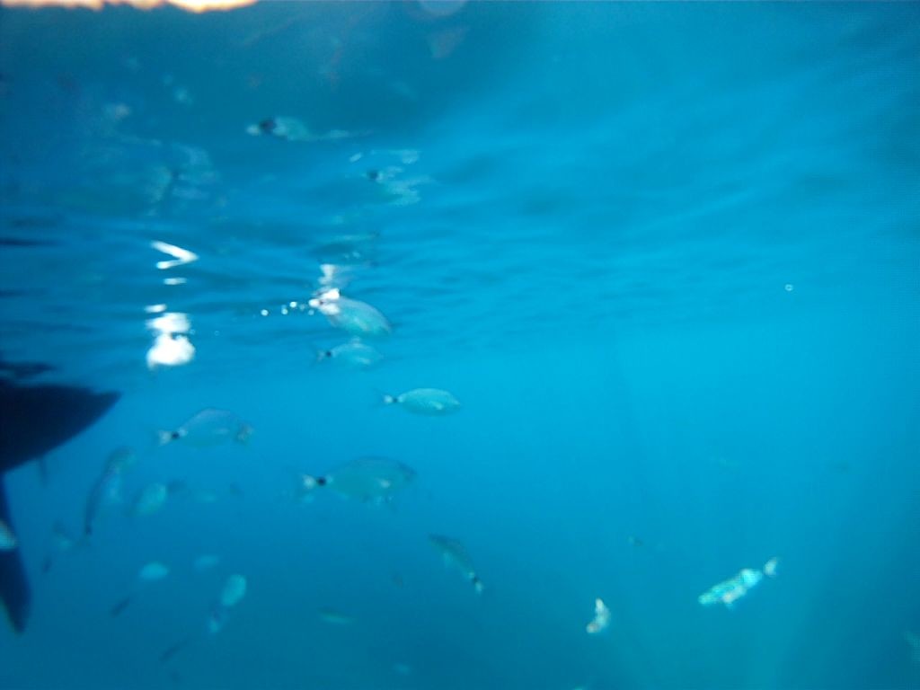 porquerolles