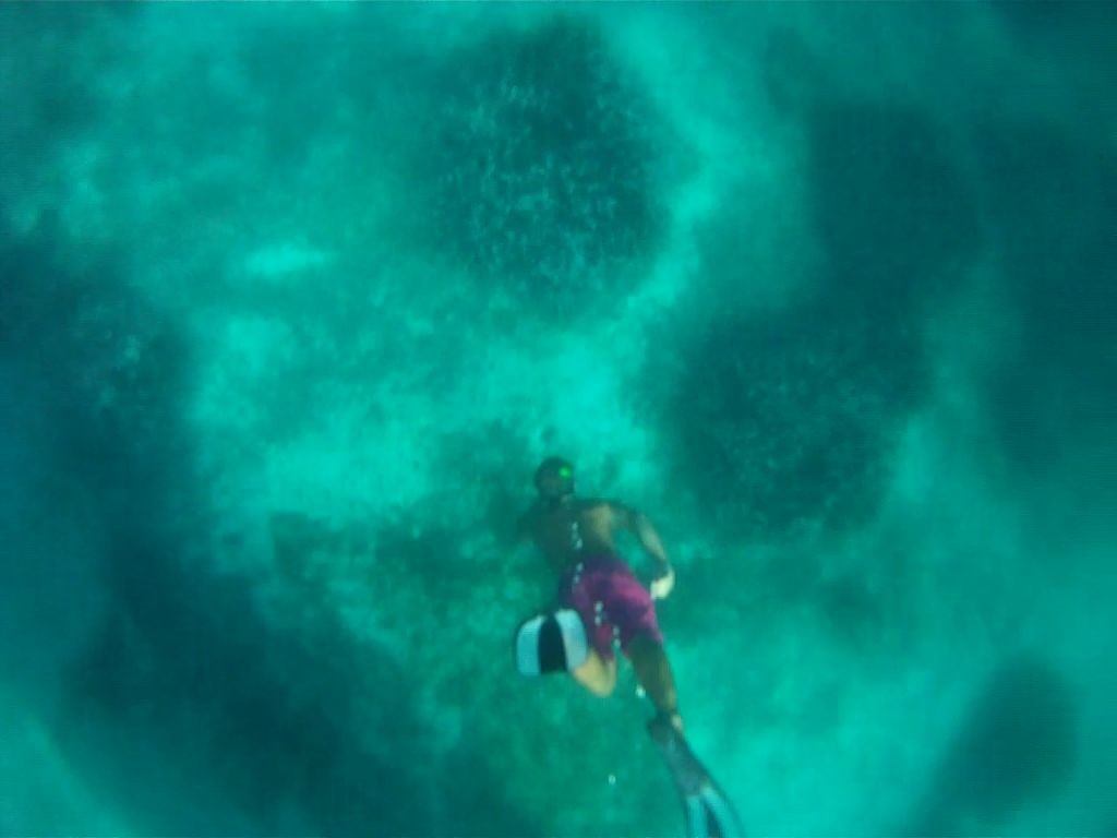 porquerolles
