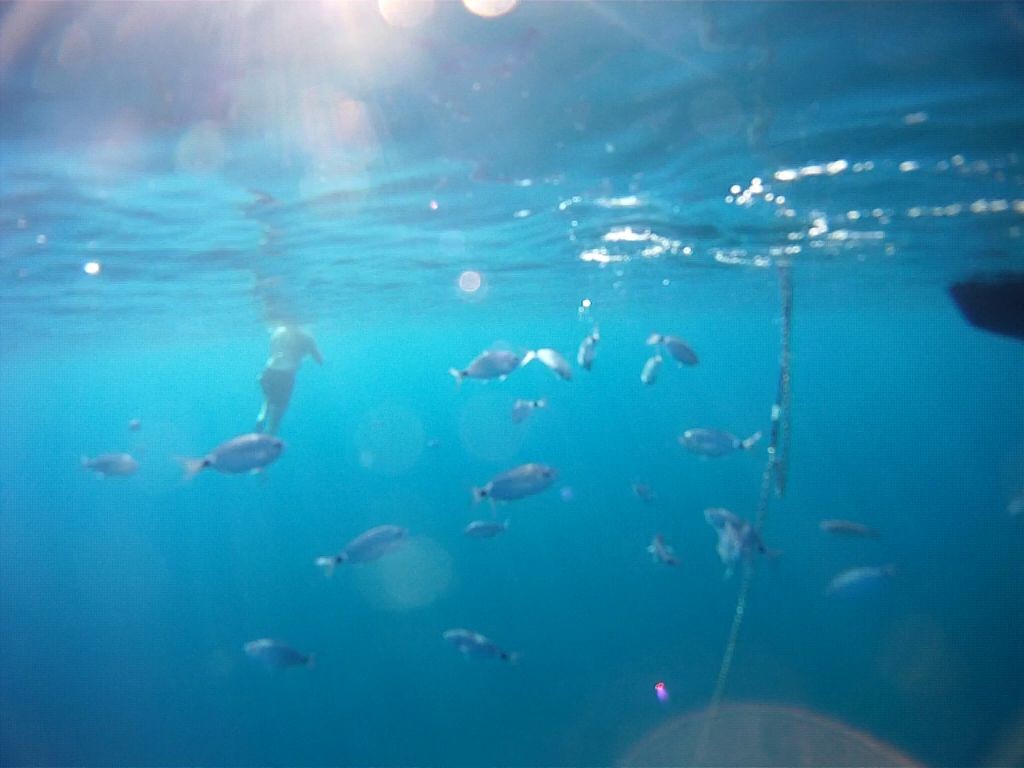 porquerolles
