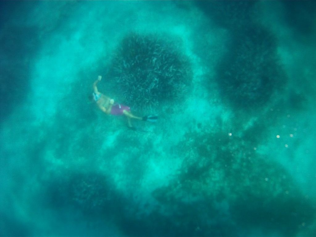 porquerolles